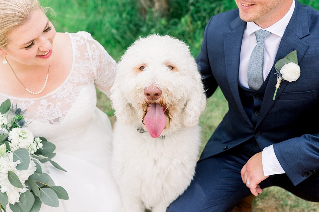 Wedding day photos of bride and groom with their white golden doodle dog