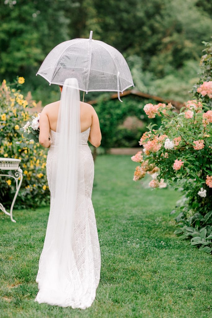 Bridal portrait at Camrose Hill Flower Farm wtih Clear umbrella on rainy day